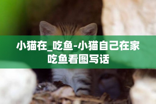 小貓在_吃魚-小貓自己在家吃魚看圖寫話