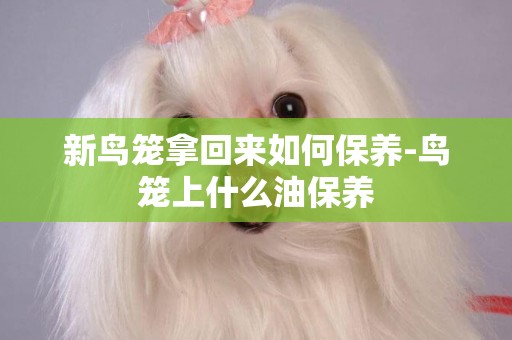 新鳥籠拿回來如何保養-鳥籠上什么油保養