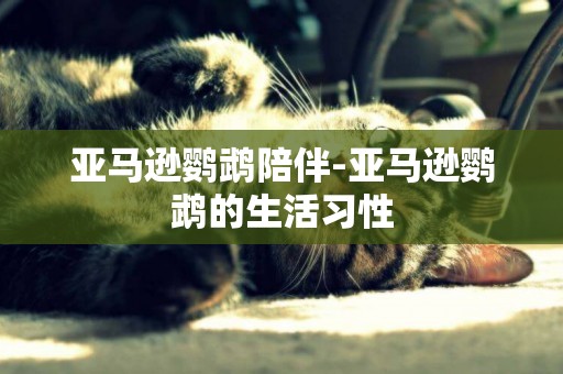 亞馬遜鸚鵡陪伴-亞馬遜鸚鵡的生活習性