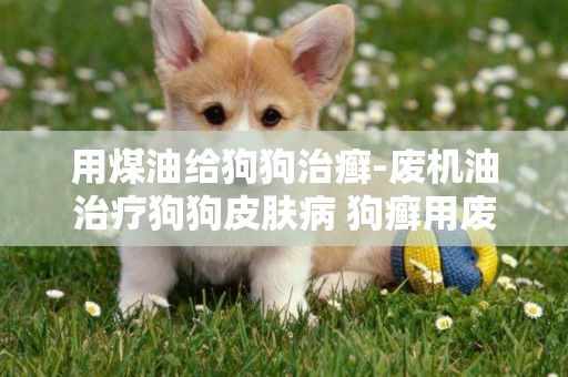 用煤油給狗狗治癬-廢機油治療狗狗皮膚病 狗癬用廢機油可以嗎