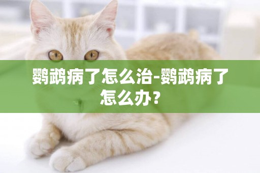 鸚鵡病了怎么治-鸚鵡病了怎么辦？