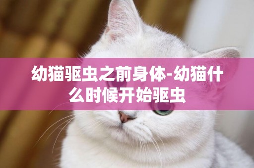 幼貓驅蟲之前身體-幼貓什么時候開始驅蟲