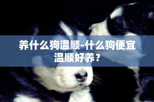 養什么狗溫順-什么狗便宜溫順好養？