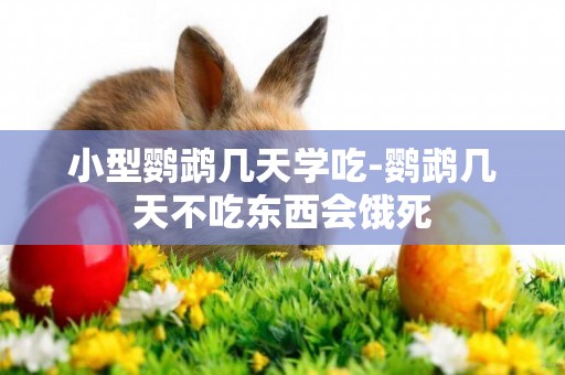 小型鸚鵡幾天學吃-鸚鵡幾天不吃東西會餓死