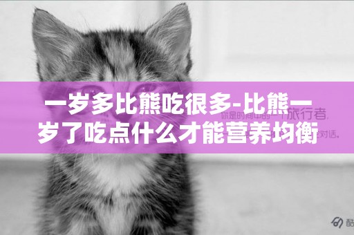 一歲多比熊吃很多-比熊一歲了吃點什么才能營養均衡