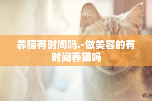 養貓有時間嗎.-做美容的有時間養貓嗎