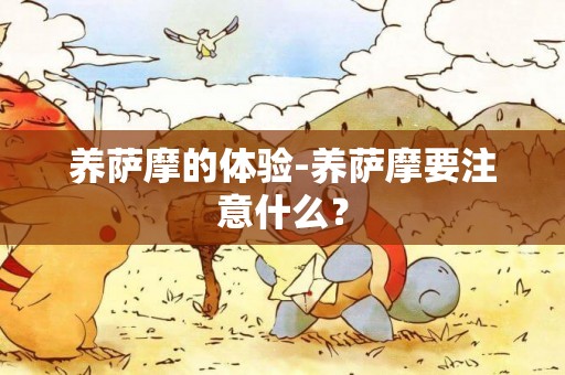 養薩摩的體驗-養薩摩要注意什么？