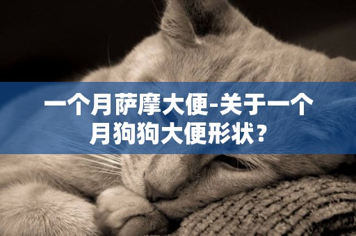 一個月薩摩大便-關于一個月狗狗大便形狀？