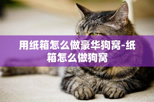 用紙箱怎么做豪華狗窩-紙箱怎么做狗窩