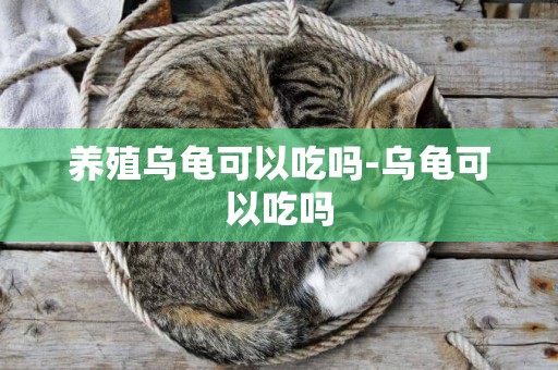 養殖烏龜可以吃嗎-烏龜可以吃嗎