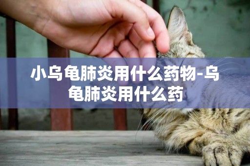 小烏龜肺炎用什么藥物-烏龜肺炎用什么藥