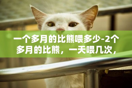 一個多月的比熊喂多少-2個多月的比熊，一天喂幾次，一次喂多少