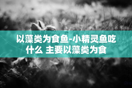 以藻類為食魚-小精靈魚吃什么 主要以藻類為食