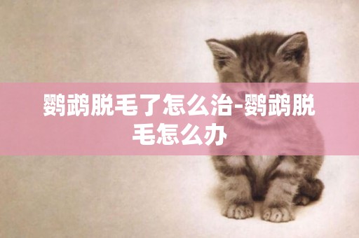 鸚鵡脫毛了怎么治-鸚鵡脫毛怎么辦