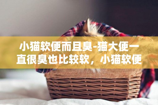 小貓軟便而且臭-貓大便一直很臭也比較軟，小貓軟便巨臭