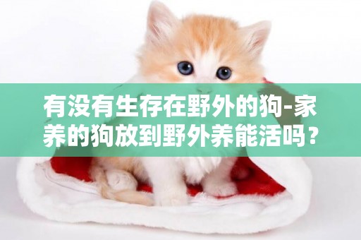 有沒有生存在野外的狗-家養的狗放到野外養能活嗎？