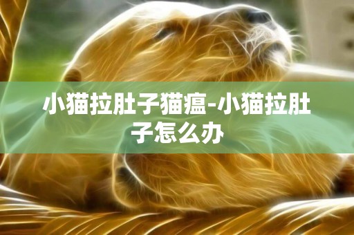 小貓拉肚子貓瘟-小貓拉肚子怎么辦