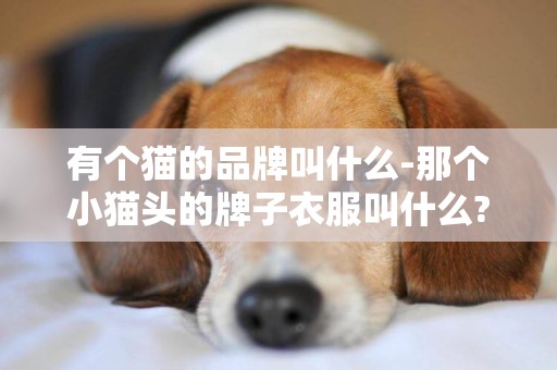 有個貓的品牌叫什么-那個小貓頭的牌子衣服叫什么?