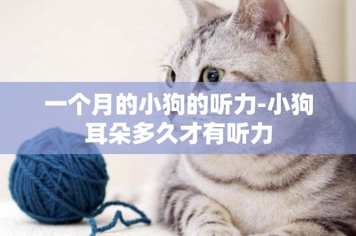 一個月的小狗的聽力-小狗耳朵多久才有聽力