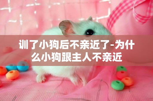 訓了小狗后不親近了-為什么小狗跟主人不親近