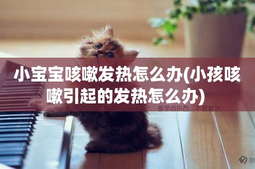 小寶寶咳嗽發熱怎么辦(小孩咳嗽引起的發熱怎么辦) 