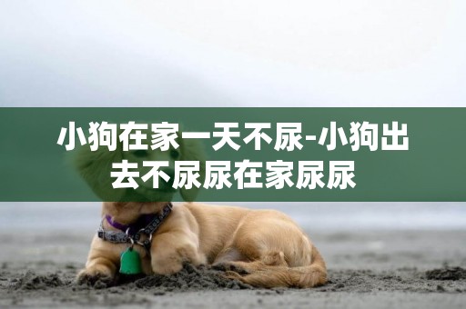 小狗在家一天不尿-小狗出去不尿尿在家尿尿