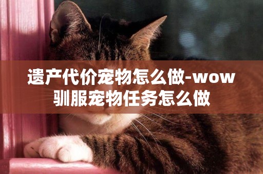 遺產代價寵物怎么做-wow馴服寵物任務怎么做