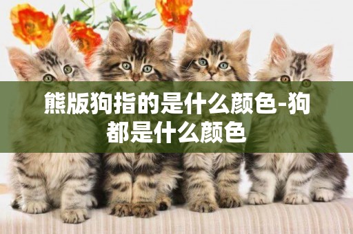 熊版狗指的是什么顏色-狗都是什么顏色