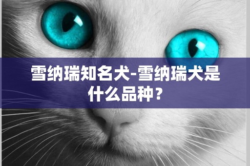雪納瑞知名犬-雪納瑞犬是什么品種？