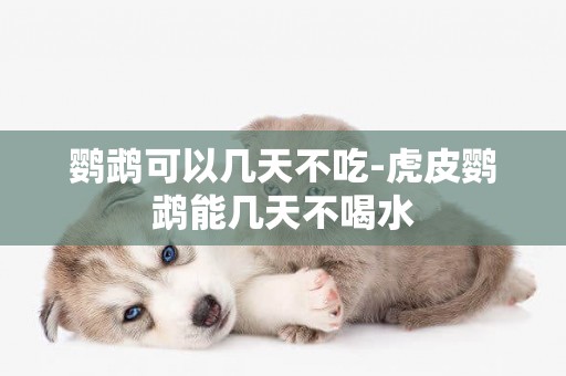 鸚鵡可以幾天不吃-虎皮鸚鵡能幾天不喝水