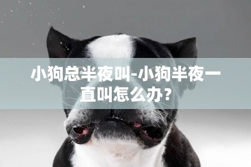 小狗總半夜叫-小狗半夜一直叫怎么辦？