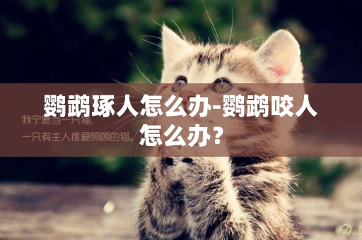 鸚鵡琢人怎么辦-鸚鵡咬人怎么辦？