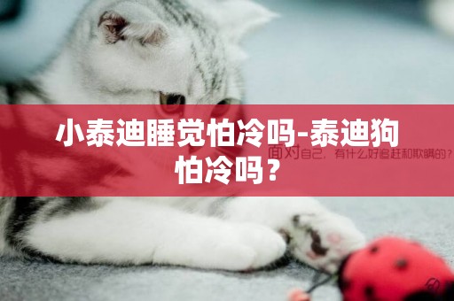 小泰迪睡覺怕冷嗎-泰迪狗怕冷嗎？