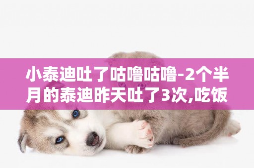 小泰迪吐了咕嚕咕嚕-2個半月的泰迪昨天吐了3次,吃飯喝水都正常,就是感覺它嘴里咕嚕咕嚕的想吐似的