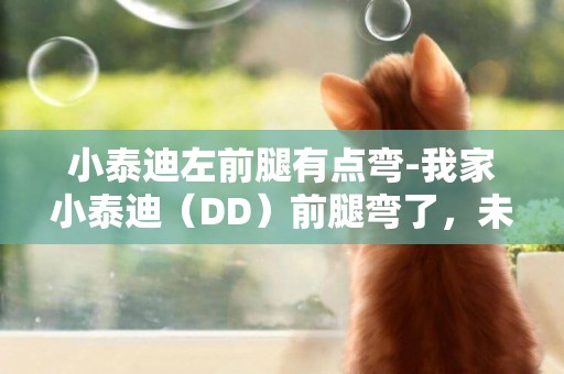 小泰迪左前腿有點彎-我家小泰迪（DD）前腿彎了，未滿月，這該怎么辦？