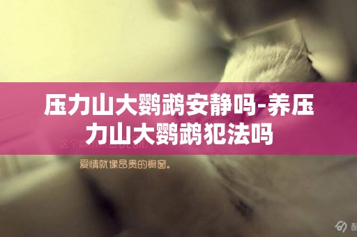 壓力山大鸚鵡安靜嗎-養壓力山大鸚鵡犯法嗎
