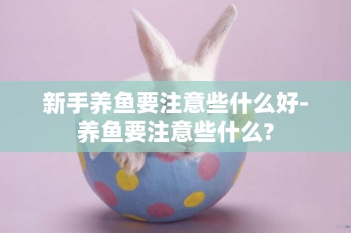 新手養魚要注意些什么好-養魚要注意些什么?