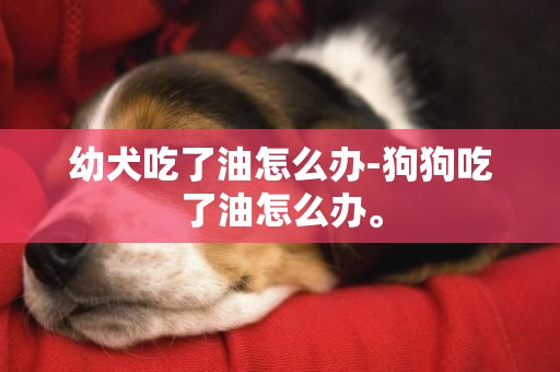 幼犬吃了油怎么辦-狗狗吃了油怎么辦。