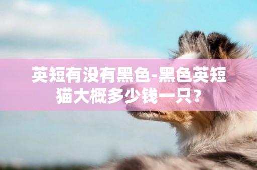 英短有沒有黑色-黑色英短貓大概多少錢一只？