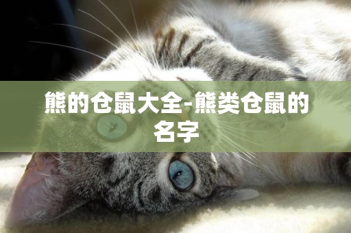 熊的倉鼠大全-熊類倉鼠的名字