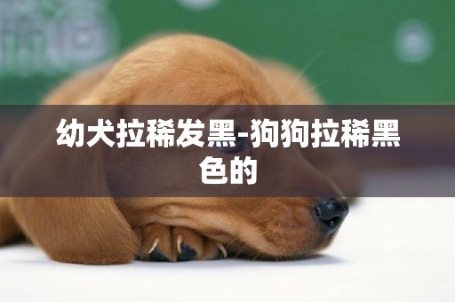幼犬拉稀發黑-狗狗拉稀黑色的