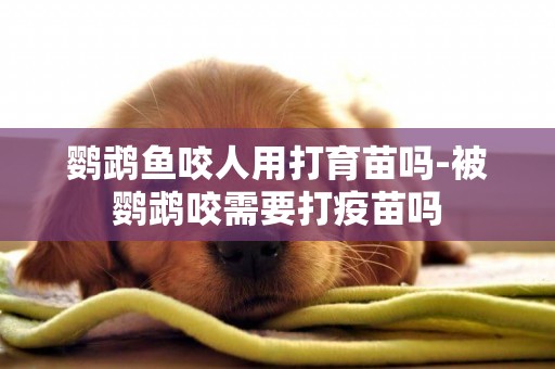 鸚鵡魚咬人用打育苗嗎-被鸚鵡咬需要打疫苗嗎