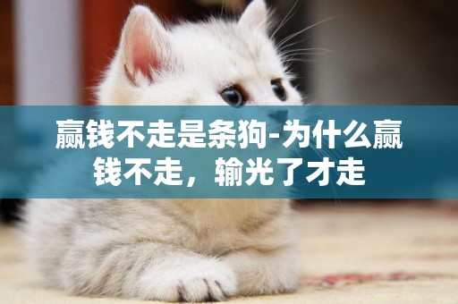 贏錢不走是條狗-為什么贏錢不走，輸光了才走