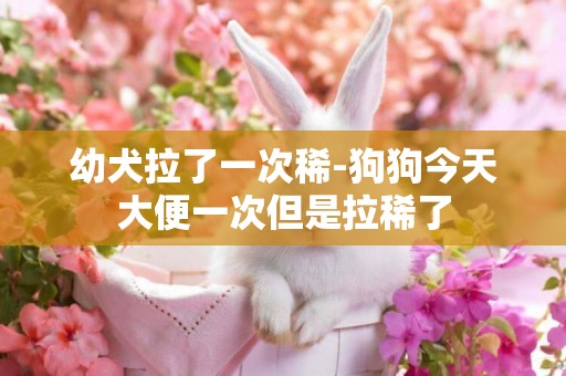 幼犬拉了一次稀-狗狗今天大便一次但是拉稀了