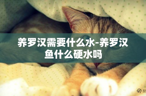 養羅漢需要什么水-養羅漢魚什么硬水嗎