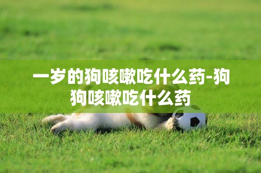 一歲的狗咳嗽吃什么藥-狗狗咳嗽吃什么藥