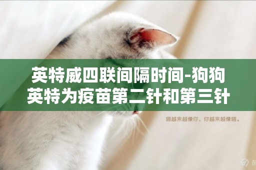 英特威四聯間隔時間-狗狗英特為疫苗第二針和第三針間隔時間，超出多久失效？