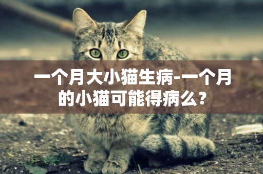 一個月大小貓生病-一個月的小貓可能得病么？