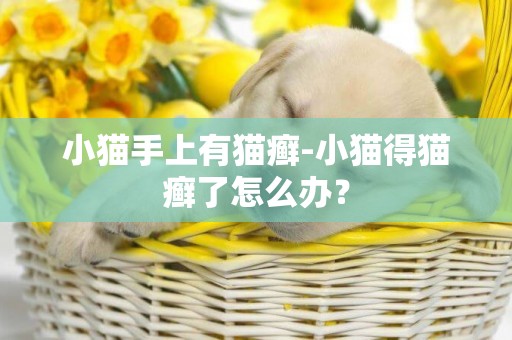小貓手上有貓癬-小貓得貓癬了怎么辦？