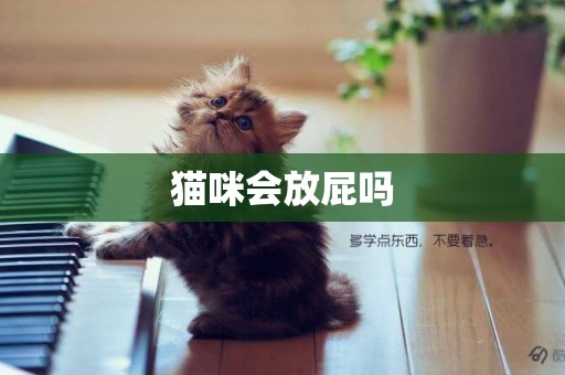 貓咪會放屁嗎